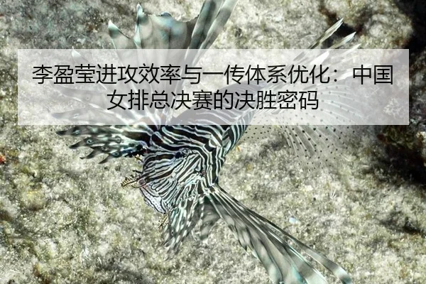 li-ying-ying-jin-gong-xiao-lv-yu-yi-chuan-ti-xi-you-hua-zhong-guo-nv-pai-zong-jue-sai-de-jue-sheng-mi-ma-3-965.jpg